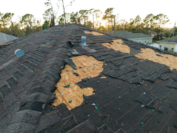 Best Storm Damage Roof Repair  in Cherokee Village, AR